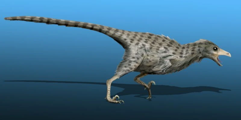 Prehistoryczne zwierzę o smukłej sylwetce, pokryte pióropodobnym upierzeniem, z długim ogonem i wyraźnym dziobem, stojące na dwóch cienkich nogach na niebieskim tle.