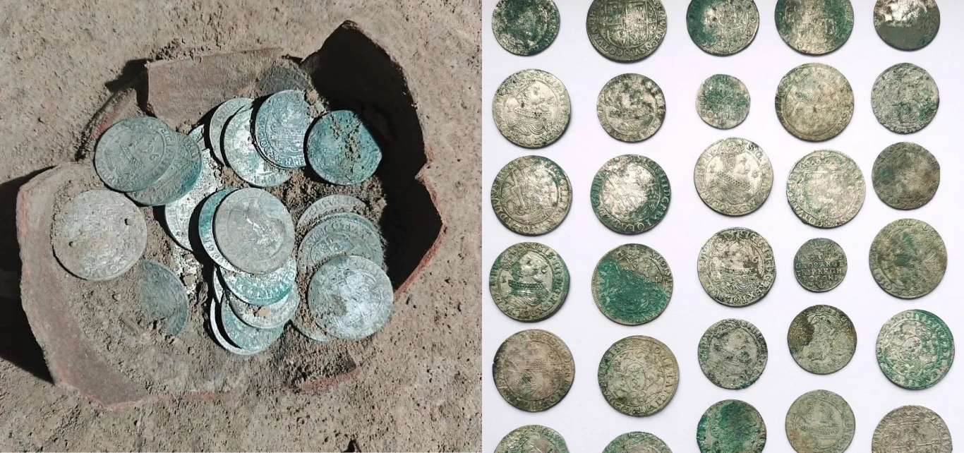 Znaleziono dzban z monetami. Historyczny skarb z czasów Wazy Gliniany dzban z XVII-wiecznymi srebrnymi monetami oraz monety ułożone w rzędach na białym tle.