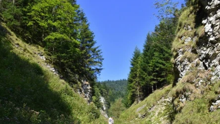 Krążą legendy o ukrytych skarbach w Wąwozie Szopczańskim