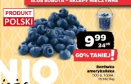 Borówka amerykańska UD