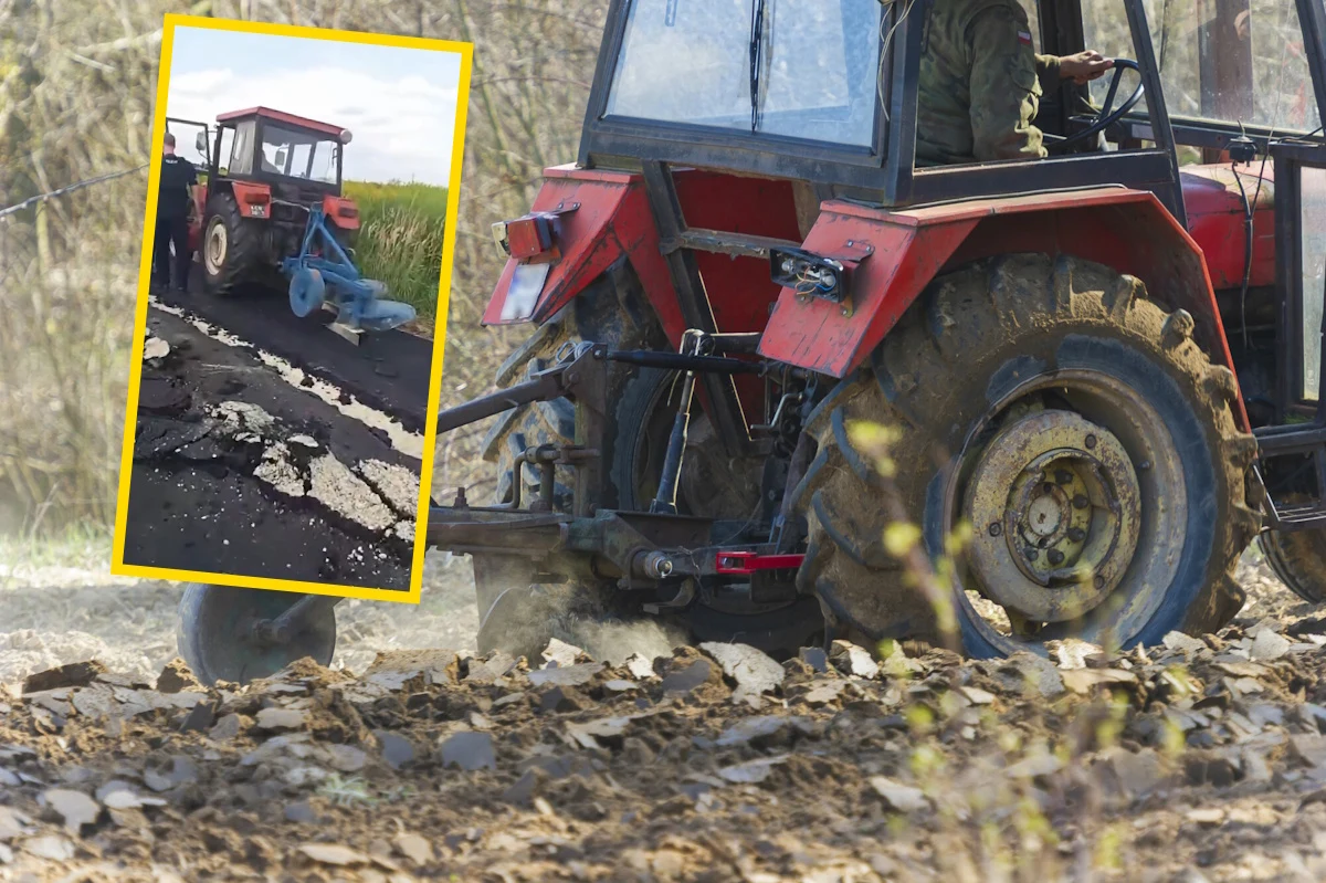 Rolnik zaorał świeżo wylany asfalt na ulicy Rybackiej w Gliwicach Czerwony ciągnik z pługiem na świeżo asfaltowanej drodze Rybackiej w Gliwicach, widoczny uszkodzony asfalt.