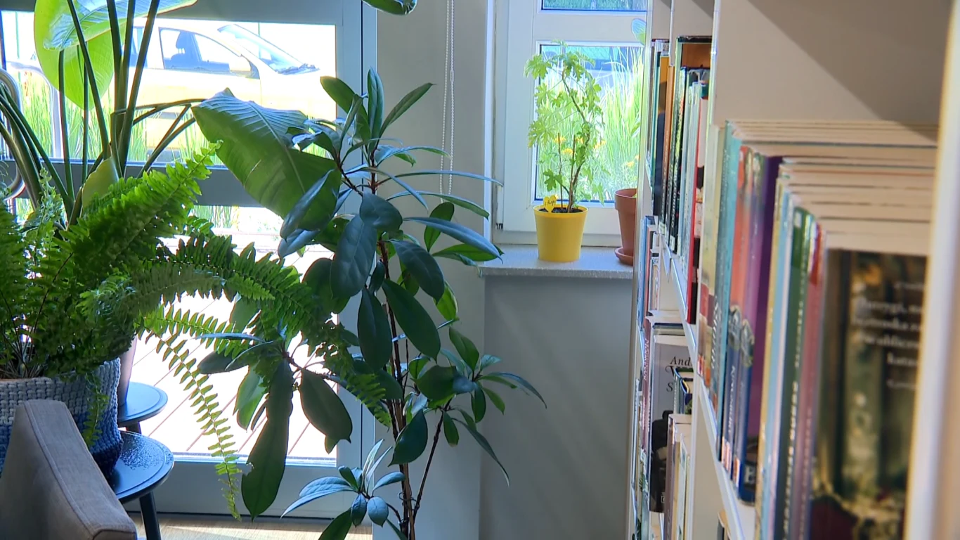 Biblioteka w Gdyni prowadzi zielony azyl dla roślin Zielone rośliny doniczkowe przy oknie i regał z książkami w jasnym wnętrzu biblioteki w Gdyni.