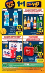 Wielkie oszczędności w promocji 1+1 za 1 grosz - Carrefour