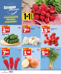 Sierpniowe hity na Twój stół - Topaz