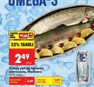 Pstrąg tęczowy Marinero