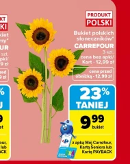Słoneczniki Carrefour