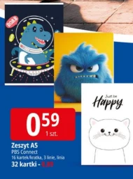 Zeszyt PBS Connect