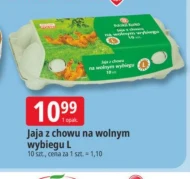 Jaja Polska Kurka