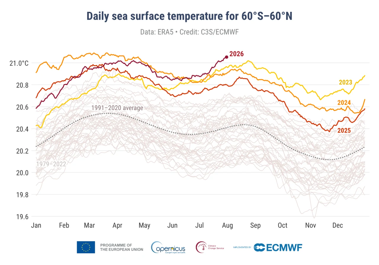 Wykres prezentujący dzienne temperatury powierzchni morza dla szerokości geograficznych od 60°S do 60°N w latach 2023–2026, z wyraźnie zaznaczonym trendem wzrostu temperatury w porównaniu do średniej z lat 1991–2020.
