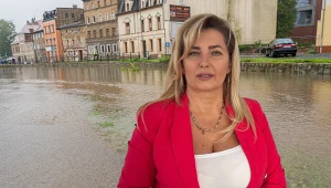 Działaczka KO Anna Konieczyńska zawieszona w partii po doniesieniach mediów
