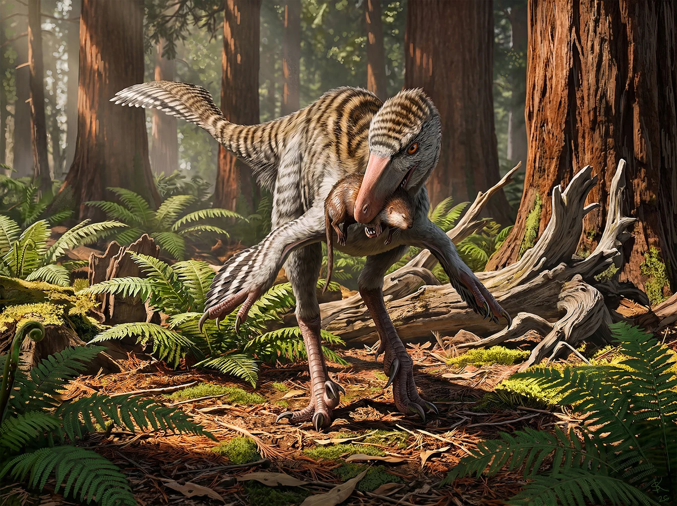 Dinevenator robustus to nowy gatunek troodonów, czyli piekielnie inteligentnych dinozaurów Dinevenator robustus, drapieżny troodon z piórami i długim ogonem, stoi wśród paproci z ofiarą w pysku.