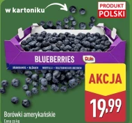 Borówki amerykańskie Polski