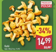 Kurki Polski