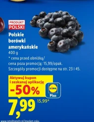 Borówki amerykańskie Polski