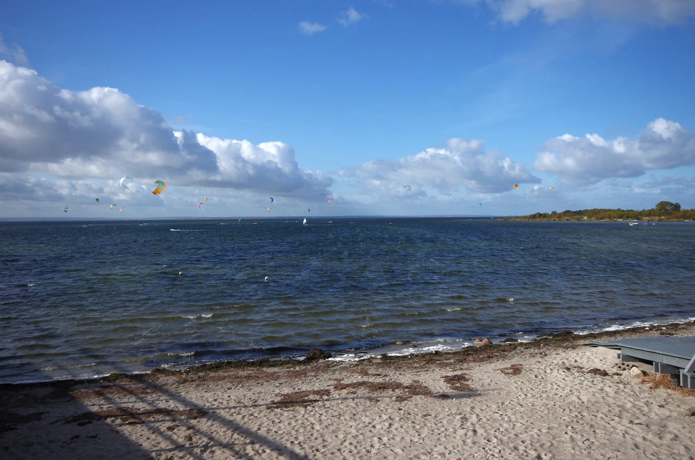 Zatoka Pucka jest wyjątkowo płytka. Latem woda szybko się tutaj nagrzewa. Plaża w Zatoce Puckiej, Morze Bałtyckie.