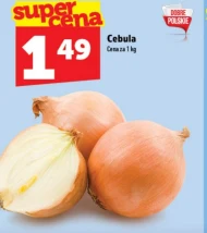 Cebula