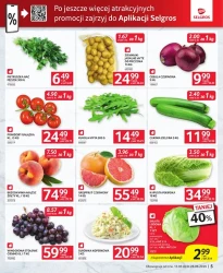 Oferta dla gastronomii - Selgros Cash&Carry