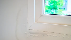 Zmieszaj z wodą i spryskaj ścianę. Pleśń zniknie szybciej, niż się pojawiła