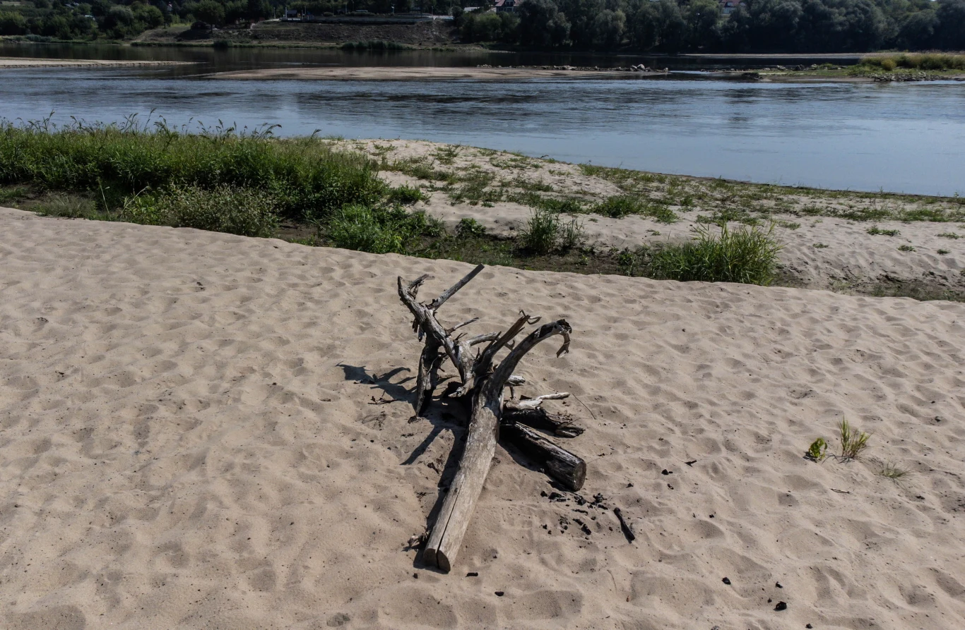 Niski stan wody w rzece odnotowano też na stacji hydrologicznej Annopol stan wody na Wiśle wyniósł 160 cm i był najniższy w historii pomiarów prowadzonych w tym miejscu od ponad 70 lat Suchy konar leżący na piaszczystej plaży nad brzegiem rzeki, z zaroślami i wodą w tle.
