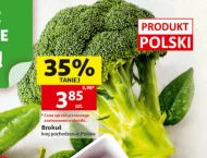 Brokuł Polski