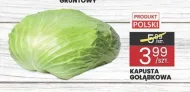 Kapusta Polski