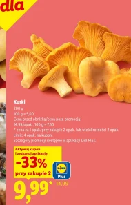 Kurki