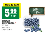 Borówka amerykańska Polski
