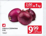 Cebula czerwona