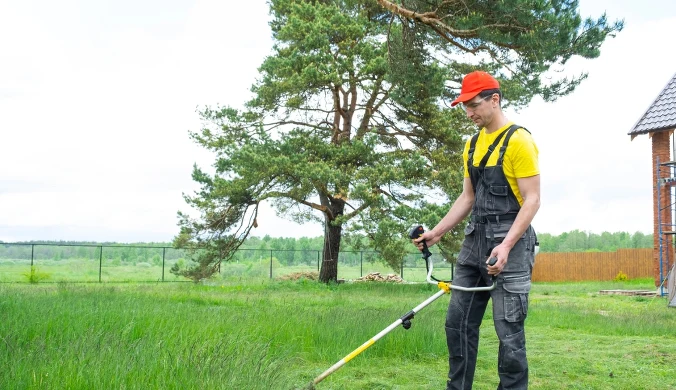 Ile kosztują podstawowe prace ogrodnicze latem 2026 r.?