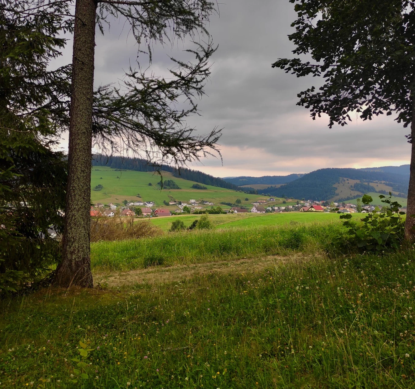 Wiejska panorama z domami rozrzuconymi po zielonych wzgórzach, na pierwszym planie drzewa i trawiasta łąka, w tle łagodne pasma górskie pod pochmurnym niebem.