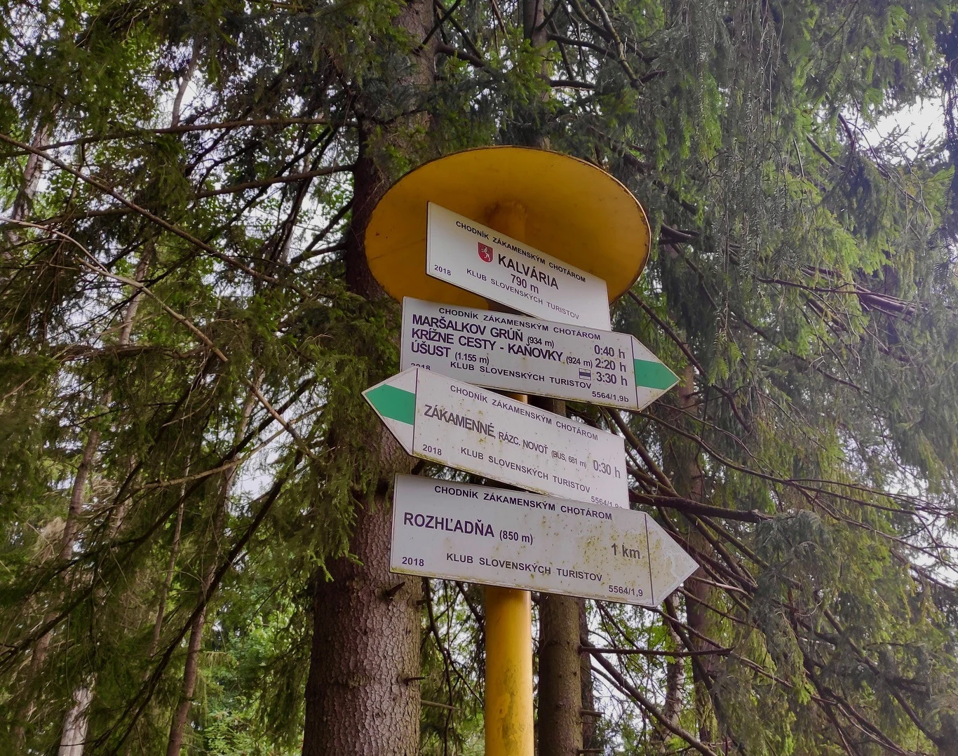 Drogowskaz turystyczny zamocowany na żółtym słupie pośród drzew, zawierający tabliczki z nazwami tras i kierunkami do miejsc takich jak Kalwaria, Zakamenné oraz Rozhľadňa.