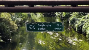 Tajemnicze tablice na Śląsku. Chodzi o zanieczyszczone rzeki