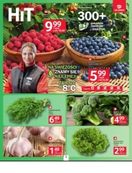 Wszystkie kolory smaku - Selgros Cash&Carry