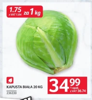 Білокачанна капуста