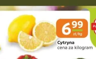 Лимон