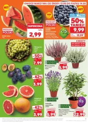 Freszaki przejmują Kaufland!