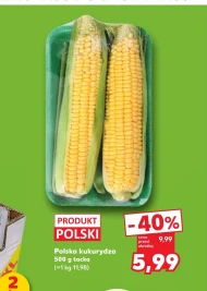 Kukurydza Polski