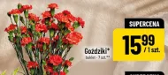 Goździki