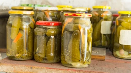 Ogórki kiszone z przepisu siostry Anastazji zawsze wychodzą chrupiące, jędrne i pełne smaku.