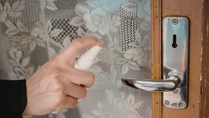 Tak odstraszysz osy. Spryskaj firanki, a nie wlecą do domu 