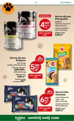 Wielkie promocje na weekend - Żabka