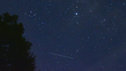 W 2026 roku przewidywane są optymalne warunki do obserwacji Perseidów