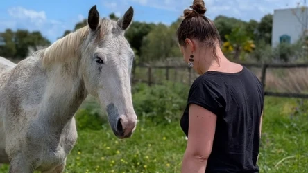 Anna Rymar jako psychoterapeutka korzystająca z koni w trakcie spotkań z klientami, opowiada w rozmowie z Interią o swojej metodzie pracy i miłości, jaką darzy konie