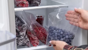 Mrożone owoce, na przykład borówki, po zamrożeniu nie tracą swoich cennych właściwości