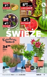 Czas na tańsze zakupy - Netto