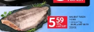 Halibut