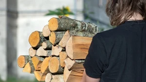 Kupować opał latem czy czekać? Sprawdzamy ceny węgla, pelletu i drewna