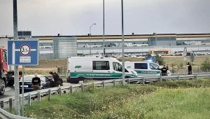 Ukrainka i Gruzin powstrzymani przez SG. "Próba przerzutu do Niemiec"
