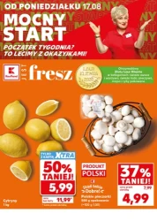 Mocny start - Kaufland