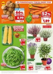 Mocny start - Kaufland